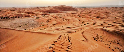 Preview: Arabian Desert
Footprints in The Red Sand
NOMINATED🙏🌞🙏