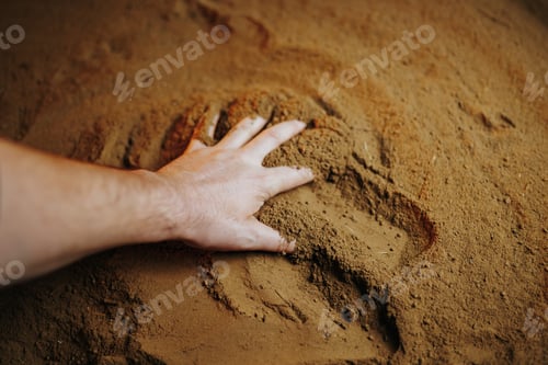 Preview: A farmer's hands work the ground, with selective focus on the palm,