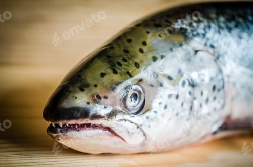 Preview: Atlantic Salmon whole fish