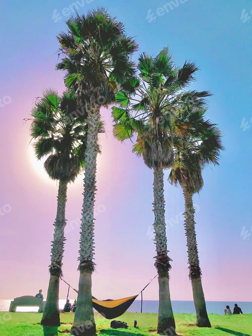 Preview: CALIFORNIA vacation vibes I’m a hammock on palm trees
