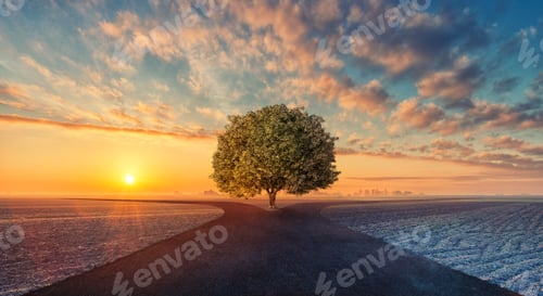 Preview: Choose the way