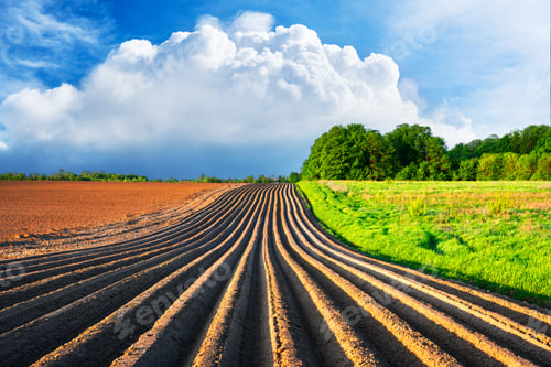 Preview: Freshly tilled farmland with deep parallel furrows
