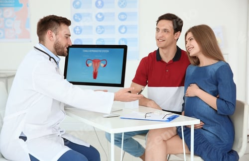 Preview: Gynecology consultation. Future parents with doctor in hospital