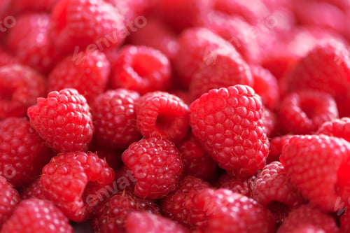 Vista previa: Ripe raspberries macro. Selective focus. Fruit background with copy space. Summer and berries