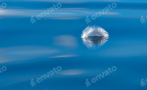 Preview: Floating Feather