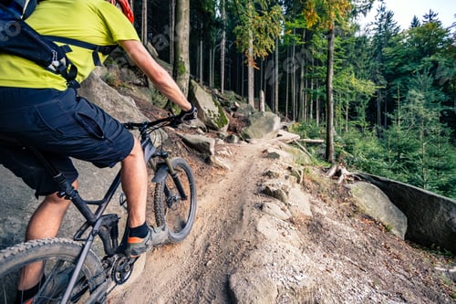 Preview: Mountain biker riding cycling in autumn forest