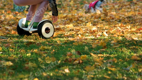 Preview: Little kid riding gyroscooter on the grass.