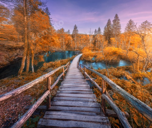 Aperçu: Wooden path in orange forest in Plitvice Lakes, Croatia at sunset
