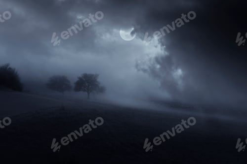 Preview: night landscape with tree and moon in the clouds