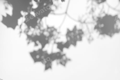 Preview: Abstract leaves natural shadow overlay on white texture background