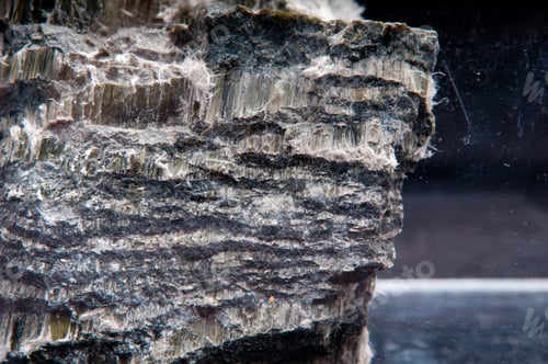Preview: asbestos chrysotile fibers