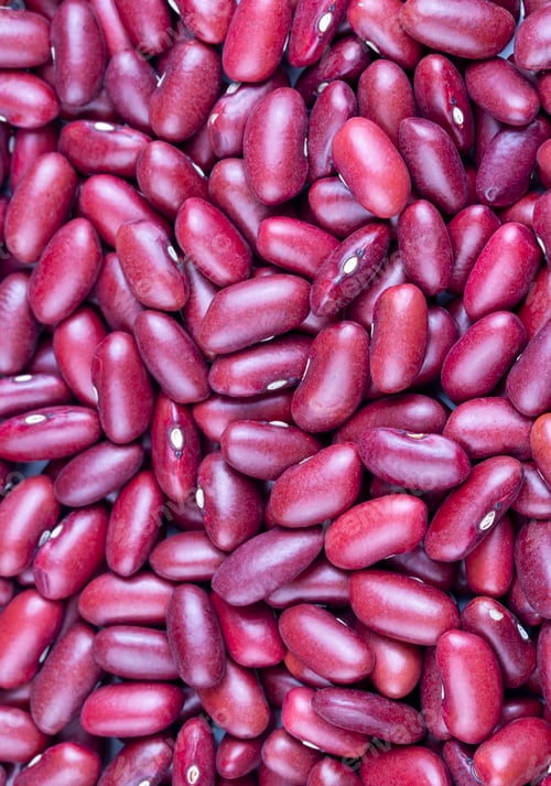 Preview: Dried red bean, kidney bean on the white background