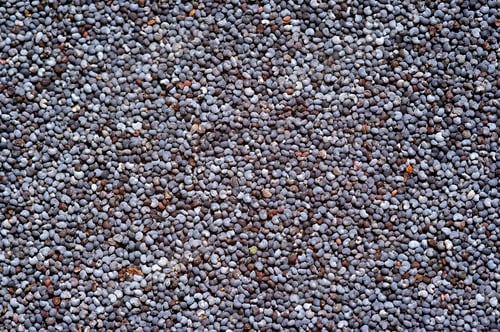 Preview: Detail of Poppy Seeds