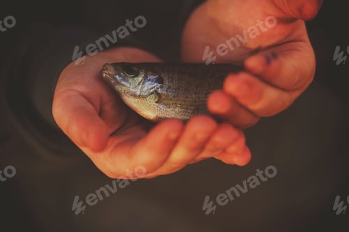 Preview: Ice fishing