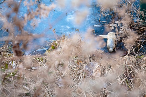 Preview: Trash in a Lake