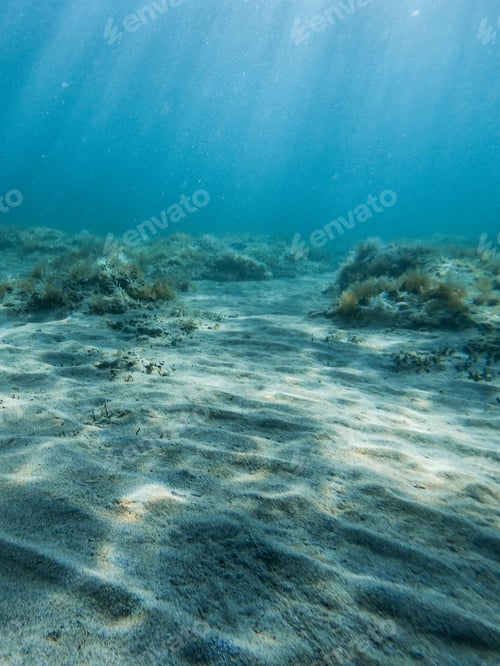 Preview: Vertical shot of natural sunlight ov underwater plants
