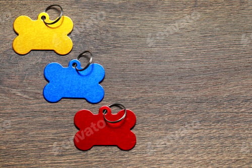 Preview: Color metal pet tags in shape of bones with ring on wooden table, flat lay. Space for text
