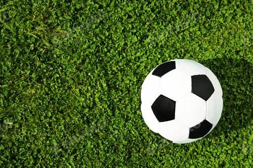 Preview: Soccer ball on fresh green football field grass, top view. Space for text