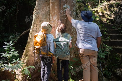 Preview: trekking adventure carries backpacks poles enjoying nature expression looks into the distance