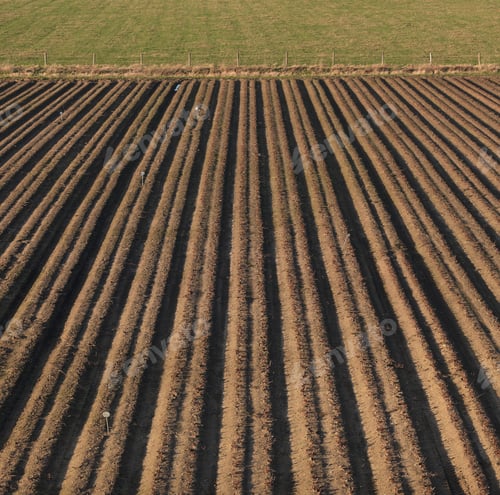 Preview: Ploughed field