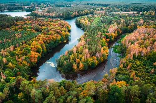 Preview: Colorful forest and curvy river in autumn. Aerial view