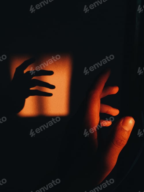 Preview: shadows and sunlight