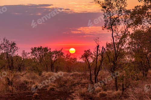 Preview: Meru National Park Kenya East Africa Landscapes