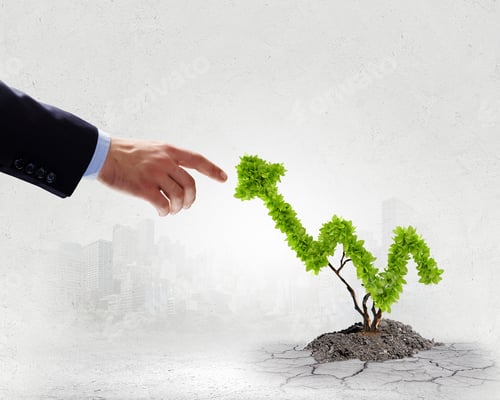 Preview: Image Of Human Hands Holding Plant Shaped Like Arrow