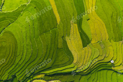 Preview: Paddy rice terraces, green agricultural fields in countryside of mountain hills valley, Vietnam.