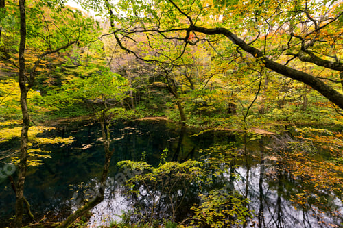 Preview: Beautiful autumn lake and forest