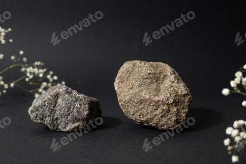 Preview: Stone and dried white flowers on a black background. Natural nature podium , still life