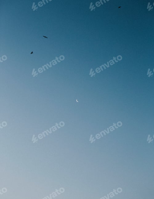 Preview: The blue sky