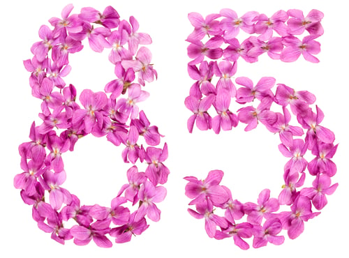 Preview: Arabic numeral 85, eighty five, from flowers of viola, isolated on white background