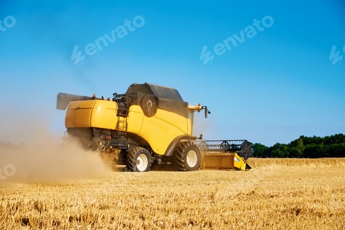 Preview: Combine harvester harvesting golden ripe wheat in agricultural field