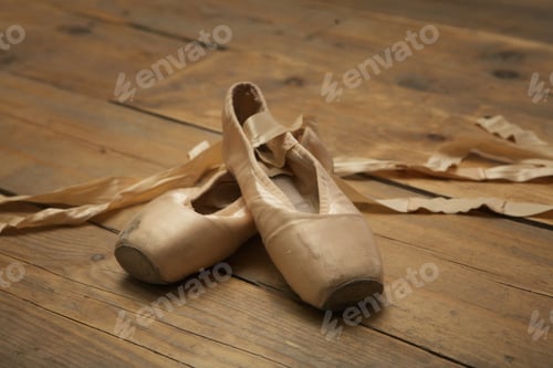 Vista previa: Pair of Used Ballet Shoes