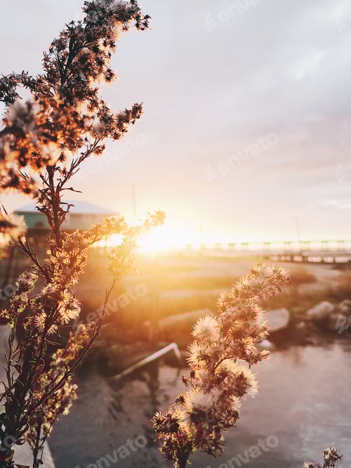 Preview: Golden hour on island