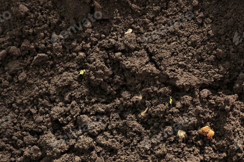 Preview: Textured ground surface as background, top view. Fertile soil for farming and gardening
