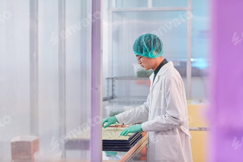 Preview: Scientist working with seeds