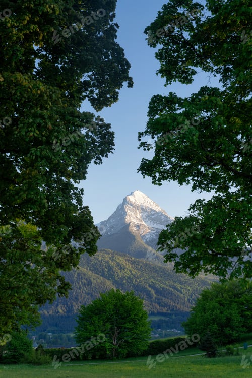 Preview: The Watzmann peak seen through trees