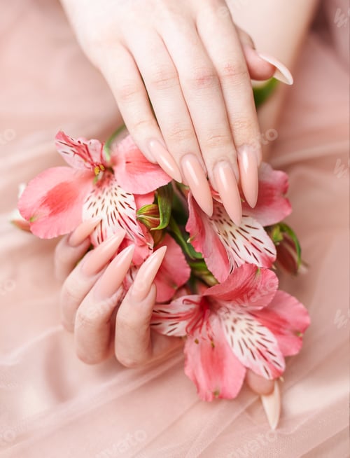 Preview: Elegant pastel pink natural manicure.