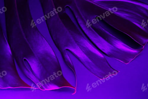 Preview: Monstera leaf in blue neon light close up