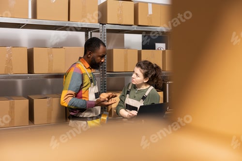 Preview: Diverse coworkers managing goods packaging for small scale e-shop