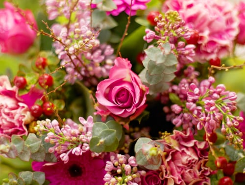 Preview: Roses are not only red