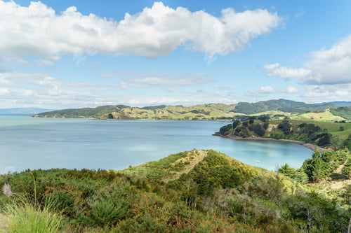 Preview: scenic shot of shore in Waitawa Regional Park, New Zealand
