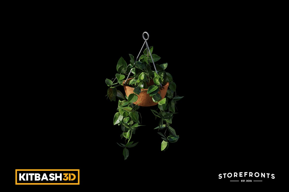 Kitbash: Storefronts - Hanging Pothos Plant 3D, Incl. hanging & nature ...