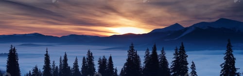 Preview: Winter mountains and firs above clouds at sunrise