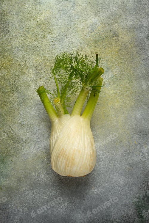 Preview: fennel, bulb, dill root, fresh, top view,