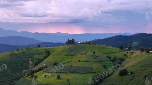 Preview: Terraced Rice Field in Chiangmai, Thailand