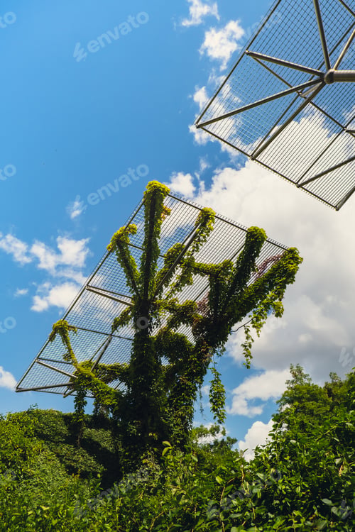 Preview: Botanical garden on the roof of the Warsaw University library modern architecture and greenery
