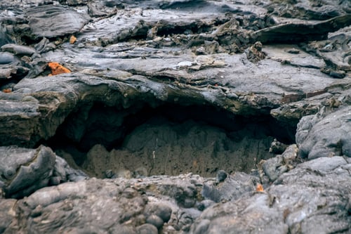 Preview: Closeup shot of a fresh lava field in Iceland with its small details